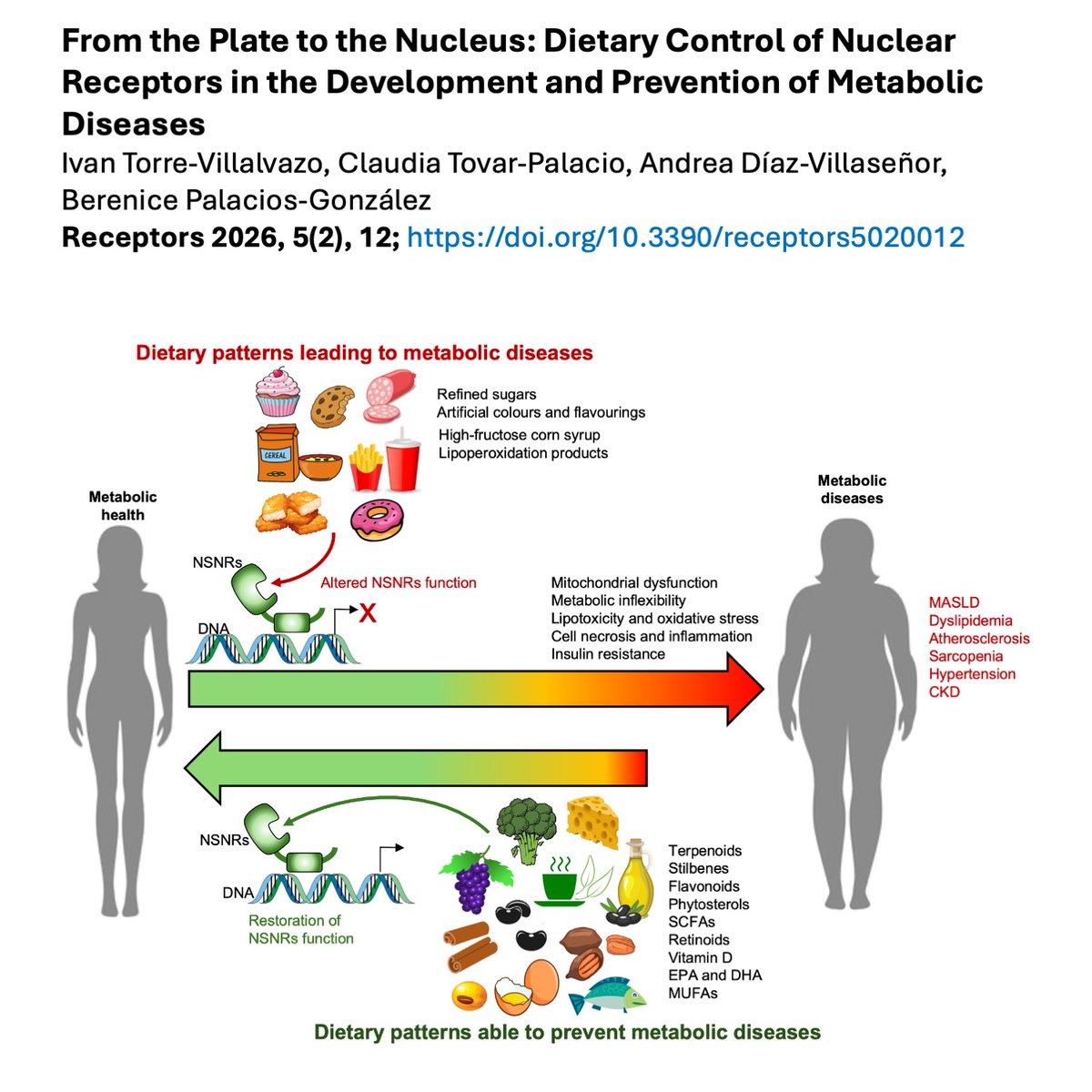 ITorrevich's tweet photo. Los alimentos modulan el metabolismo de cada uno de nuestros órganos al activar receptores nucleares que actúan como sensores de la calidad de los alimentos. Buena comida=buena salud, mala comida..... https://t.co/W8A45kzRg7