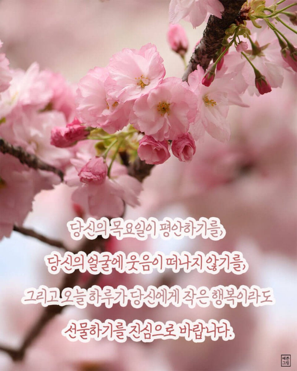 률이 tweet media