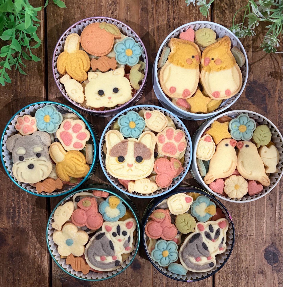 mochiri__'s tweet photo. いろんな動物のクッキー缶 https://t.co/6jCVtIfBek
