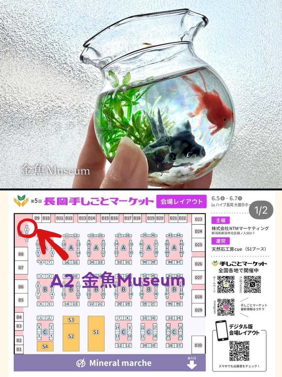 金魚Museum✴︎ 6/5(金)6(土)7(日) 長岡手しごとマーケット tweet media