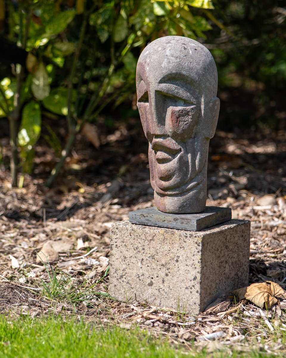 TwrYFelin's tweet photo. St Davids Open Gardens returns on 13th-14th June 2026. Explore a collection of beautiful private gardens across Britain’s smallest city. 

#twryfelinhotel #thecelticcollection #stdavids #pembrokeshire #opengardens https://t.co/3kKm8y1wmr