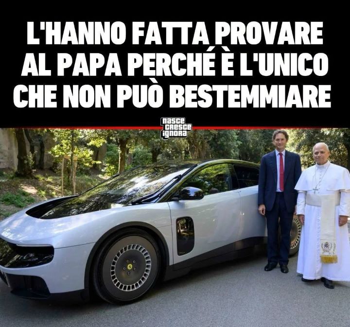 Stefano tweet media