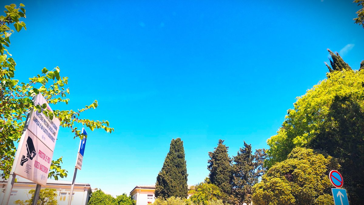 ferferrelli's tweet photo. “I was falling. Falling through time and space and stars and sky and everything in between. I fell for days and weeks and what felt like lifetime across lifetimes. I fell until I forgot I was falling.” #Sky https://t.co/JJzruGgN1p