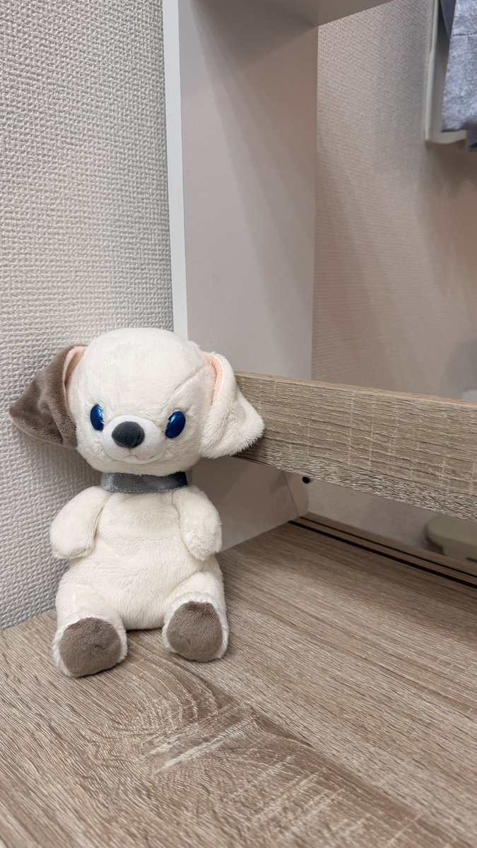 uchinokonui's tweet photo. 新しい子が生まれました🐶

ダルメシアンをイメージしたオリジナルぬいぐるみ、2ndサンプル完成🧵

青い目はラメ感のあるキラキラ仕様。
ふわふわの白い毛並みに、
ブルーの瞳が特徴な子。

模様の着色はこれから。
完成までもう少しお待ちください🐾

#ぬいぐるみ #ハンドメイド #自作ぬい #オリジナルぬいぐるみ #うちの子ぬい #ぬい活 
#自作ぬい垢さんと繋がりたい