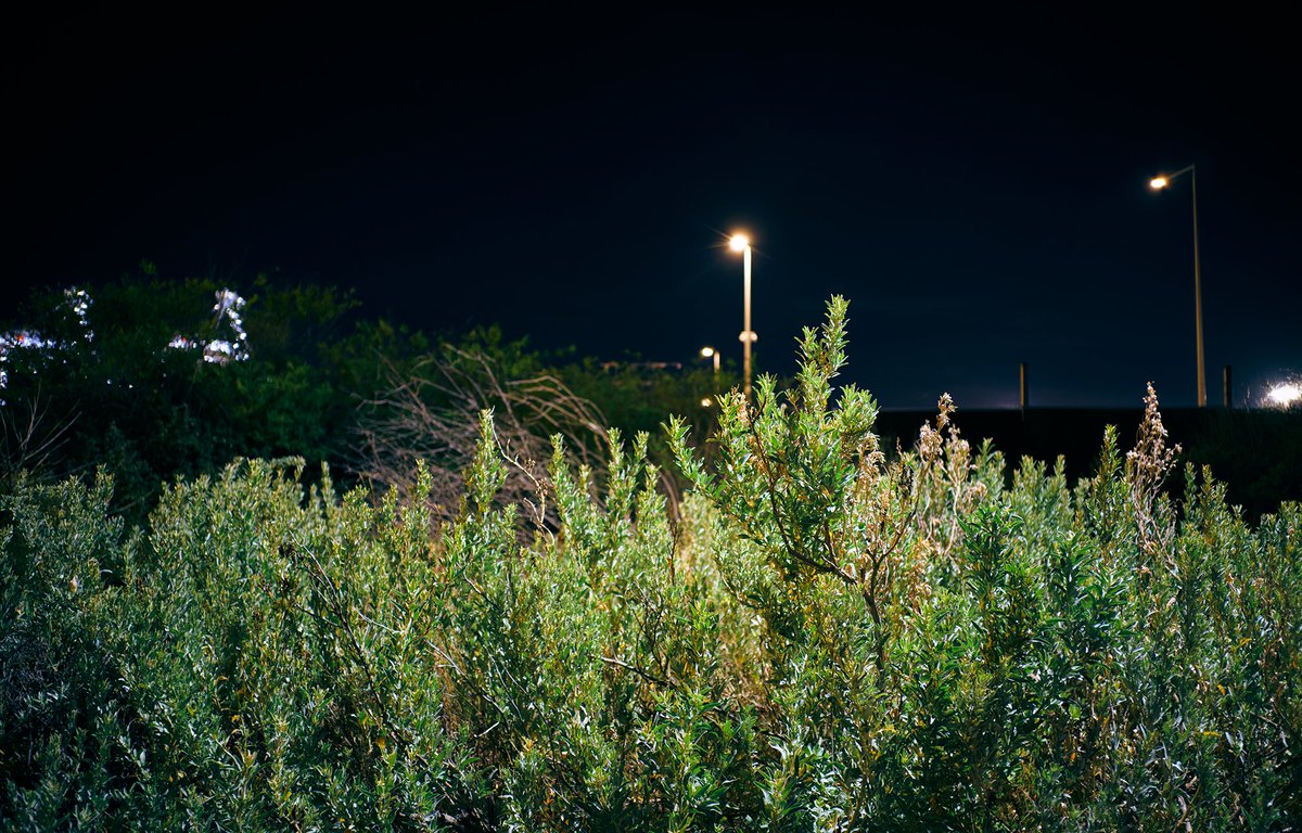ChibimaruG's tweet photo. 深夜の海岸沿い。
夜の写真も楽しいんだよな〜。でもここ最近ずっと夜出てなかったなー。
光がキラキラしてて、色がこってりしてていい。 https://t.co/xm9A8tYAK2