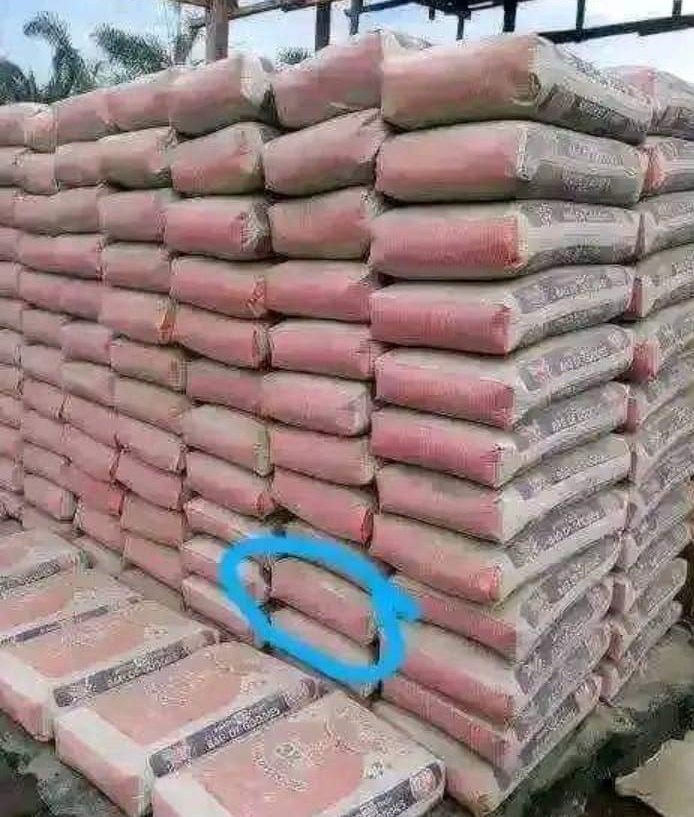 Favour🧃 tweet media