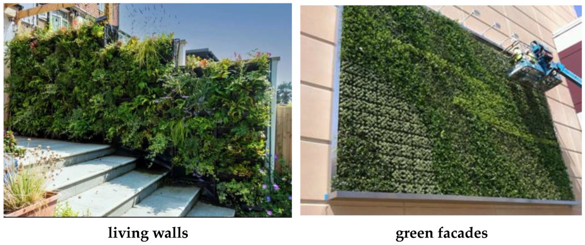 Pollutants_MDPI's tweet photo. 🌆 Can green walls save our cities? 

This review in Pollutants explores the massive potential of vertical greenery for urban CO2 sequestration, reducing building energy use, and fighting the urban heat island effect. 🌿🏢

Read the full study here: https://t.co/eJb3wS2kZD https://t.co/DBOZh9gceP
