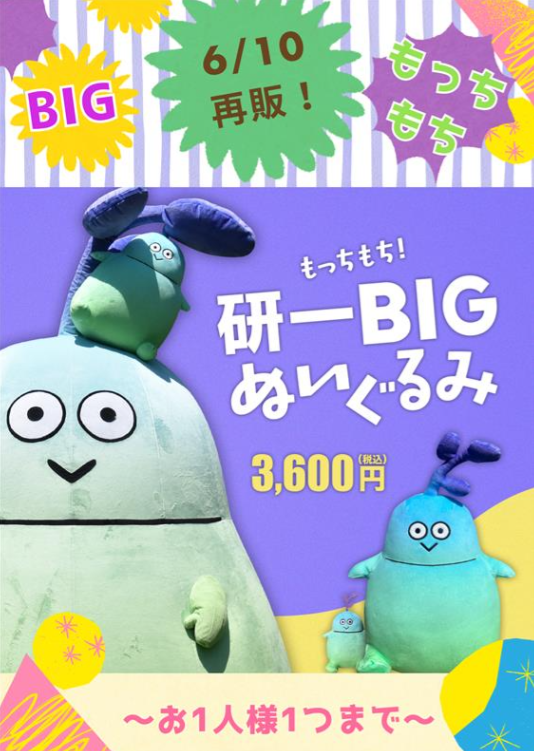 もっちもち研一BIGぬいぐるみ 研一BIGぬい再販決定‼】 6/10(水)東北大生協購買店・通販サイトにて