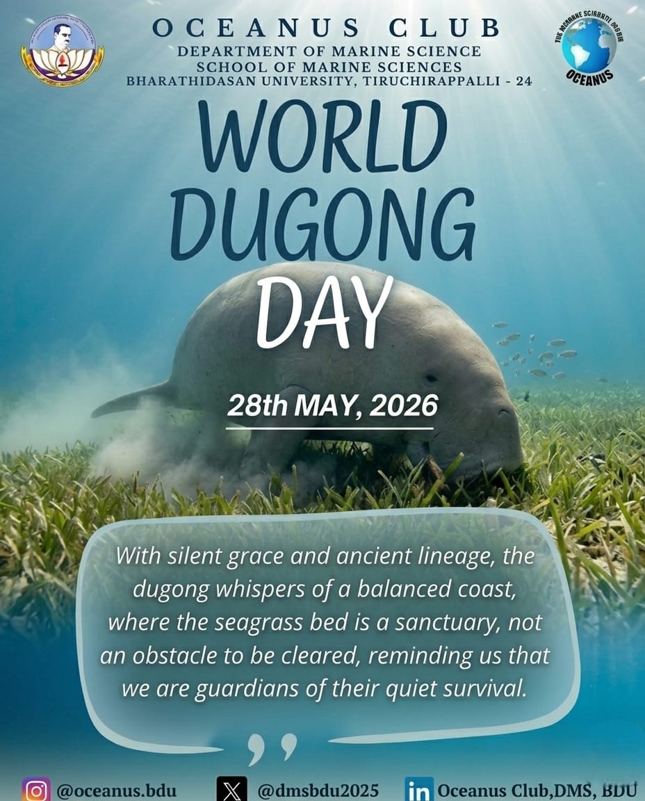 DMSBDU2005's tweet photo. 🌊 On this #WorldDugongDay, we celebrate the gentle “sea cow” — a silent guardian of seagrass ecosystems and coastal balance.
Protecting dugongs means protecting biodiversity, blue carbon habitats, and the future of our oceans.
#BDUMarinescience #MarineScience https://t.co/n04dqjOUdS