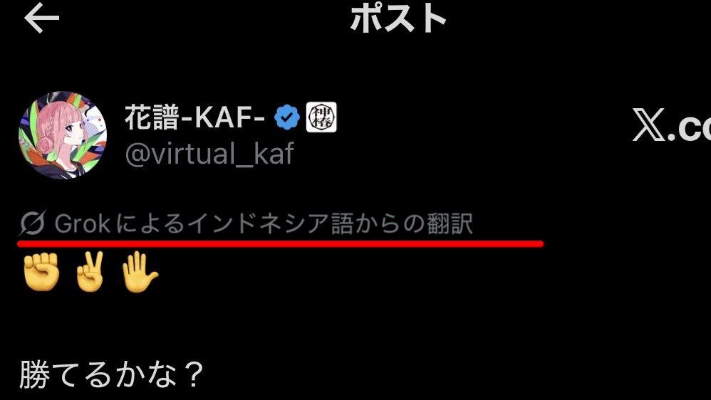 たこ🐙 tweet media