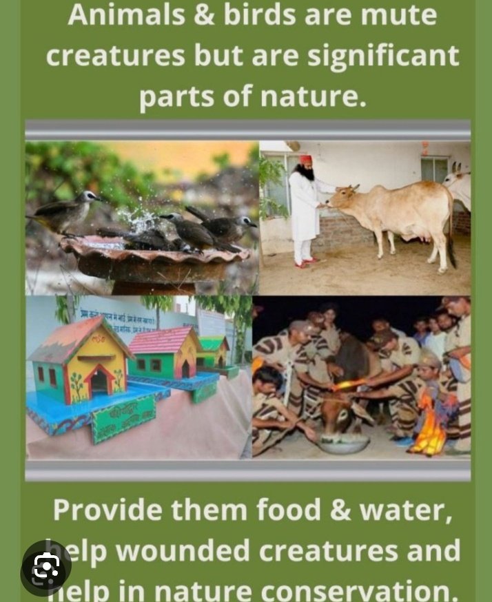 hinsa015's tweet photo. The goal is to make kindness a daily habit to feed a hungry person or a stray animal in your Neighbour Doing one small good thing creates a chain reaction. When you help someone, they feel happy and want to help someone else.
#SmallActsBigImpact
Saint Gurmeet Ram Rahim Ji https://t.co/blAk6egyEZ