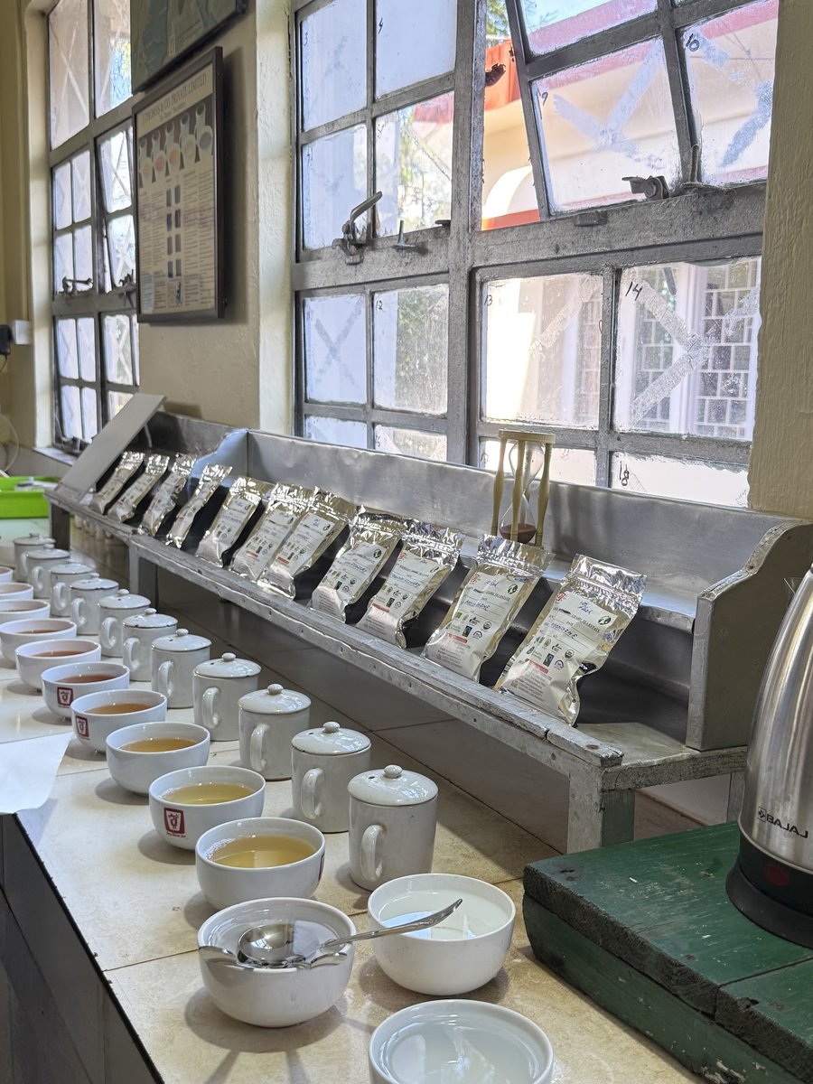 JTeaAssociation's tweet photo. インド茶園シリーズ🇮🇳　Vol.5🌱 　
#ダージリン リシーハット茶園は高品質なオーガニックティーを年間180tも生産する、スペシャリティーティーに力を入れている茶園。1stフラッシュのムーンシャインという稀少なお茶も試飲させて頂き、餃子のような「モモ」という料理などでおもてなしを受けました☕️ https://t.co/c4FKsYtKkv