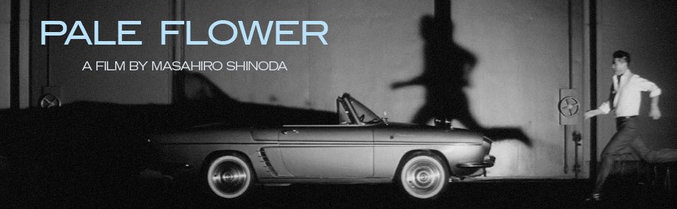 ming_hu's tweet photo. Masahiro Shinoda’s Pale Flower (1964, Japanese noir) lets Muraki’s memory of wild geese cut through yakuza fatalism as a glimpse of lost innocence. Diao Yinan’s The Wild Goose Lake (2019, Chinese neo-noir) turns that flight into a last bid for self-redemption. https://t.co/pDCZPGds4J