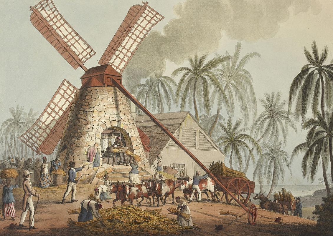 archeohistories's tweet photo. The Caribbean island of Barbados built the most intensive sugar plantation economy in the Western Hemisphere on the bodies of enslaved Africans, achieving a death rate so catastrophically high that the island's enslaved population never once achieved natural population growth across the entire 200 year duration of British colonial slavery, requiring continuous human importation simply to prevent total labor force collapse.

Barbados became England's first significant Caribbean sugar colony in the 1640s, and the model of plantation organization developed there between 1640 and 1700 was subsequently exported with deliberate intent to Jamaica, South Carolina, and every other territory where English planters sought to establish sugar or rice cultivation. The Barbados Slave Code of 1661, the first comprehensive slave code in English colonial law, legally defined enslaved Africans as real estate rather than persons, a classification that made them inheritable property and denied them any legal standing to seek remedy for any treatment whatsoever. This code was adopted almost verbatim by South Carolina in 1696 and became the template for slave law across the American South.

The labor regime on Barbadian sugar plantations was specifically designed around the logic that it was more economically efficient to work enslaved people to death and replace them through the slave trade than to moderate labor intensity sufficiently to allow population maintenance through natural reproduction. Contemporary plantation management documents from the 17th and 18th centuries record this calculation explicitly. The average life expectancy of an enslaved person on a Barbadian sugar estate after beginning field labor was estimated by contemporary observers at seven to nine years, nearly identical to the figure recorded in Saint Domingue.

When Britain abolished slavery in 1833, Barbadian planters received compensation payments totaling 1.7 million pounds for the 83,000 enslaved people they had legally owned. The enslaved people received a mandatory apprenticeship period of unpaid labor lasting four years before any form of freedom took effect. Barbados became a republic in November 2021, removing Queen Elizabeth II as head of state, but no formal reparations discussion between the British government and Barbados has produced any financial commitment from London.

© Past Archives 

#archaeohistories