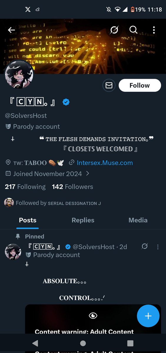 𝑺𝒆𝒓𝒊𝒂𝒍 𝑫𝒆𝒔𝒊𝒈𝒏𝒂𝒕𝒊𝒐𝒏; 𝑵.ᐟ (@spaceshippilot_) / Posts / X