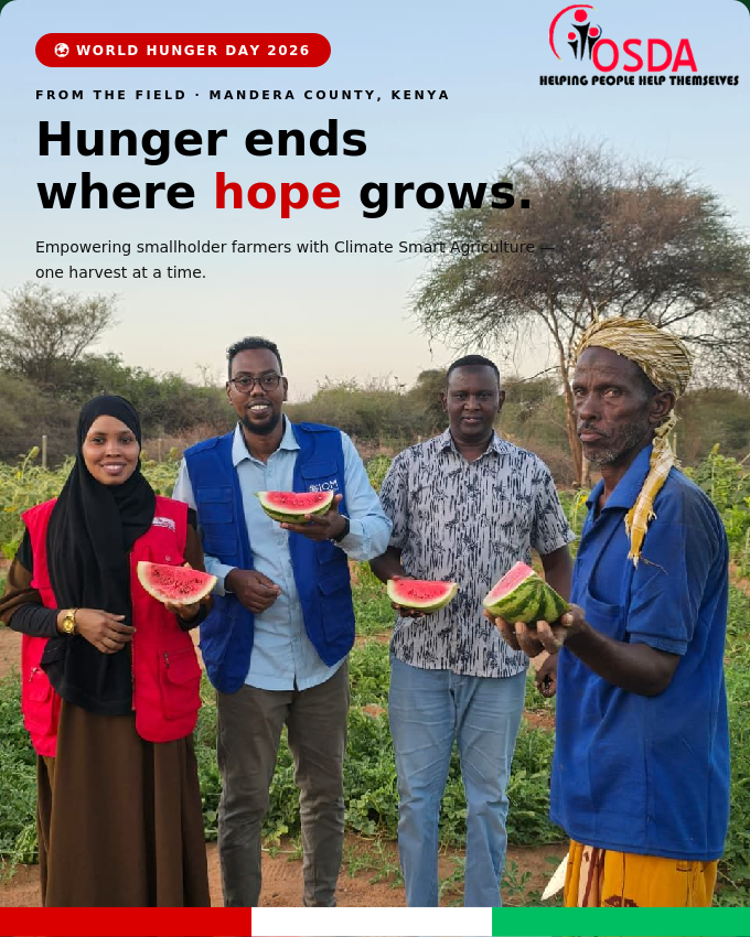 OSDAFRIK's tweet photo. At OSDA, ending hunger starts at the grassroots.

In Mandera, Kenya, we are supporting smallholder farmers with training, seedlings, and Climate Smart Agriculture to build food-secure communities.

Together with our partner @IOMKenya   and farmers, lasting change is taking root. https://t.co/U8DM5wzYOY