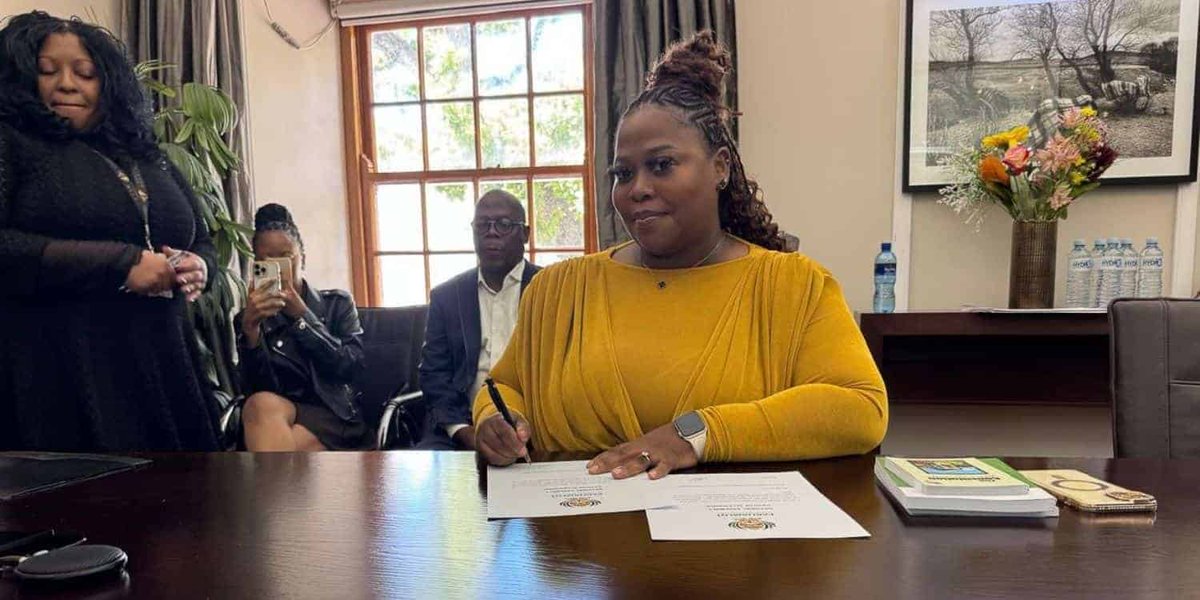 Mzilikazi wa Afrika tweet media