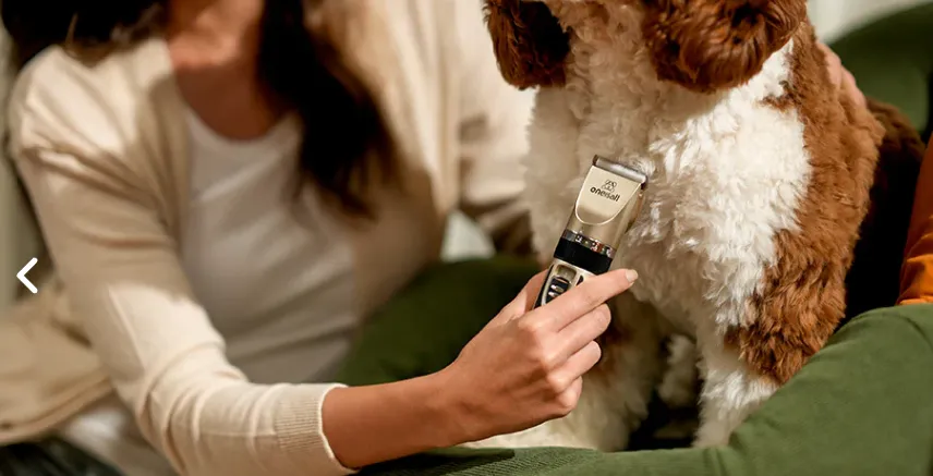 NoxInfluencer's tweet photo. Pet grooming services have become a huge hit, generating $50 million in revenue in just one year.
Detailed content：https://t.co/smWA0VTOBm https://t.co/33c7AXx8qK