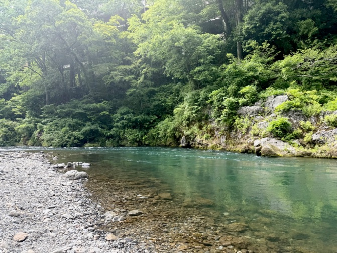wagichang's tweet photo. 人間はもっと川とか見るべき https://t.co/trQs4PkTGi