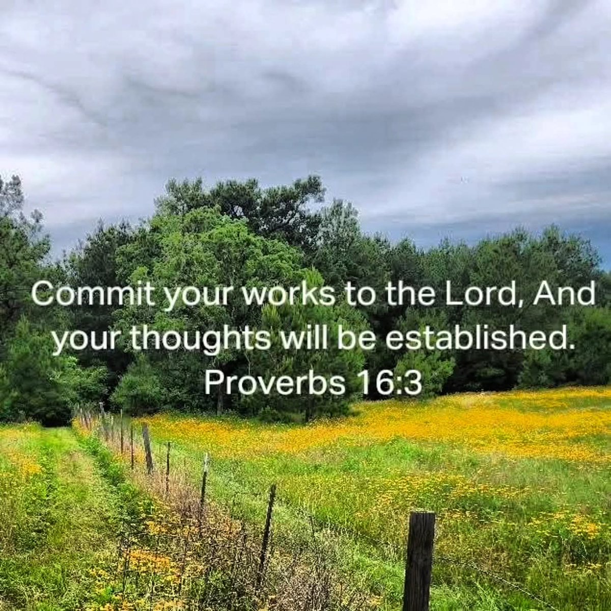 markaflysr's tweet photo. Do your best in all that you do.
Do it as you would for the Lord.
God, Family, Church, Work...everything.

Why? Jesus said.
#jesussaid #obedience

Have a blessed day! https://t.co/AxIxbx64Yw