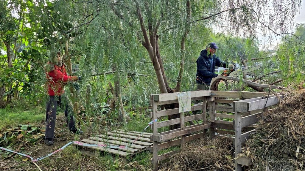 Val_Fabian's tweet photo. Como cada miércoles acompañamos las actividades del #JardinBotanico 🌿.

Junto al @MunicipioBahia y el equipo de #HuertasDeLaCiudad🍅🥦🌸 aportamos nuestra colaboración al enorme trabajo que realiza la Comisión Directiva y los voluntarios en este espacio verde emblemático de la ciudad, que no para de crecer.💪

Seguimos trabajando en tareas de mantenimiento, producción y fortalecimiento de este hermoso lugar que es patrimonio de todos los bahienses.🌳

Felicitaciones a todo el equipo por el compromiso y el amor que le ponen día a día.💚

¡@MarimeInsausti cuenten con nosotros, SIEMPRE!🌿