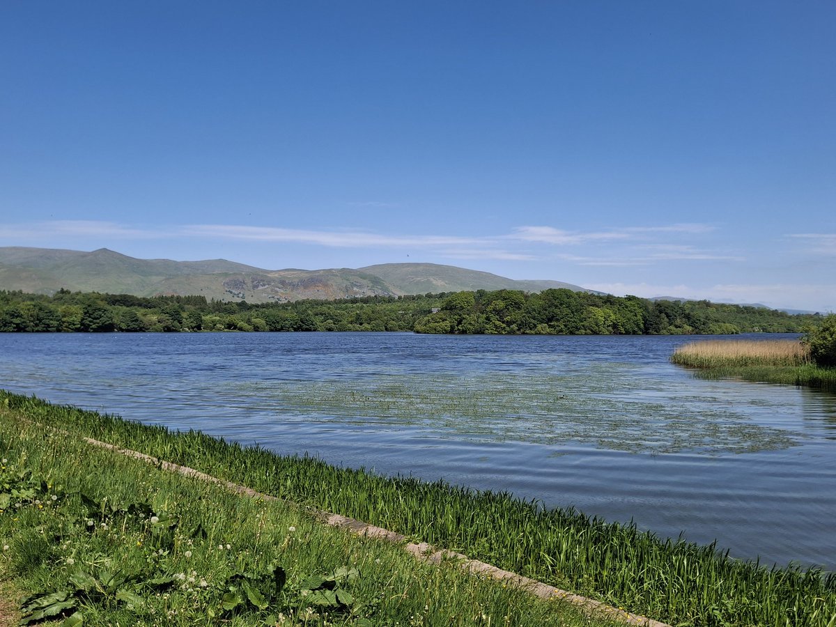 MossSwan's tweet photo. A refreshing breeze today at Gartmorn Dam 
🏞 🌳 🌲 🌿 🌸 🐦 🦢 https://t.co/nwuRsGJWzj