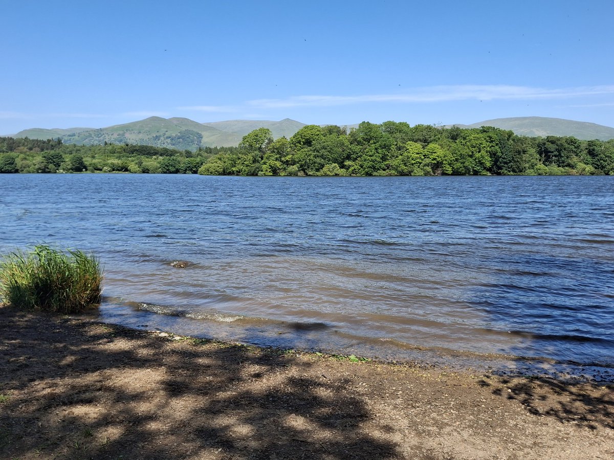 MossSwan's tweet photo. A refreshing breeze today at Gartmorn Dam 
🏞 🌳 🌲 🌿 🌸 🐦 🦢 https://t.co/nwuRsGJWzj