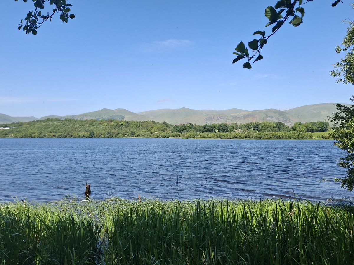 MossSwan's tweet photo. A refreshing breeze today at Gartmorn Dam 
🏞 🌳 🌲 🌿 🌸 🐦 🦢 https://t.co/nwuRsGJWzj