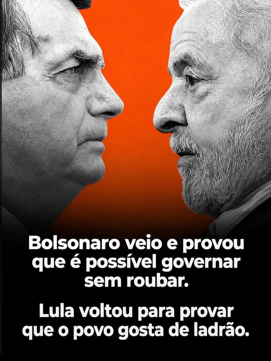 Carolina Vitoria tweet media