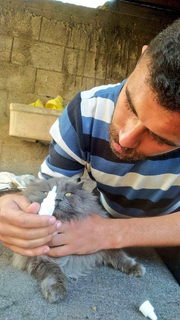 Yousef🇵🇸 tweet media