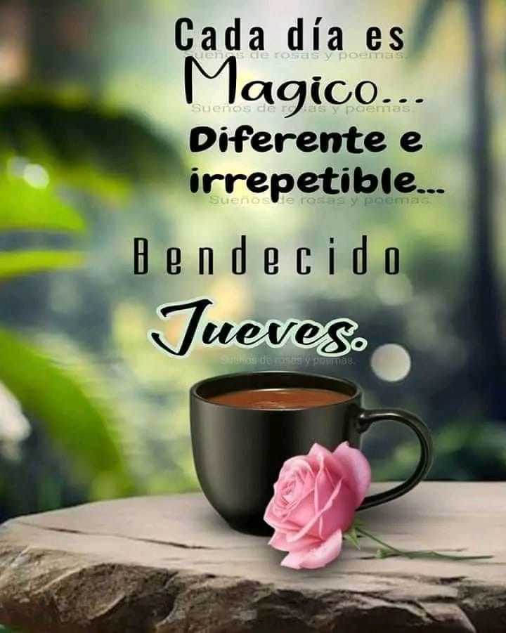 Alice612602's tweet photo. `
#BuenosDías #FelizJueves
🩷🤎🩷🤎🩷🤎🩷🤎🩷🤎🩷🤎🩷🤎🩷 https://t.co/bqOoSi7Fps