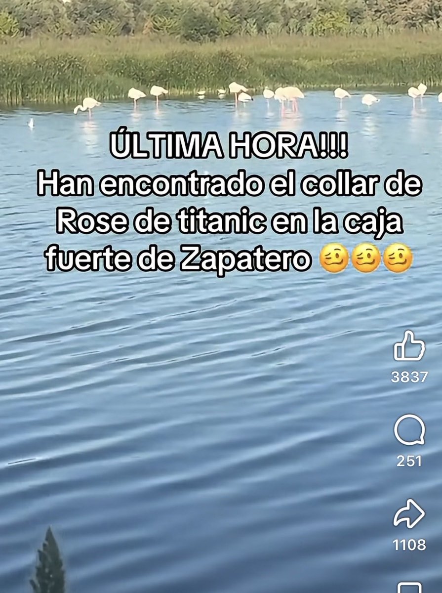 Perebonetti's tweet photo. @EnBocaDe_Todos @cuatro @Nacho_Abad Colaboradores de la izquierda os quieren llevar a su terreno i cada día es lo mismo este presentador es un inepto? con la sonrisita i no es de fiar https://t.co/CaUDLN8pfg