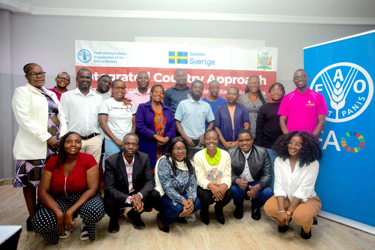 FAOZambia's tweet photo. 📍 Lusaka | 📚 Learning for impact
A 5‑day Gender Champions Training of Trainers is #strengtheningfacilitation, #advocacy &amp; #inclusivedevelopment skills.
Implemented by @FAO in partnership with @ZambiaMinistry &amp; @RestlessDev through ICA‑4 Project.
#ICA4 is funded by @Sida https://t.co/AJvN7g8bMp
