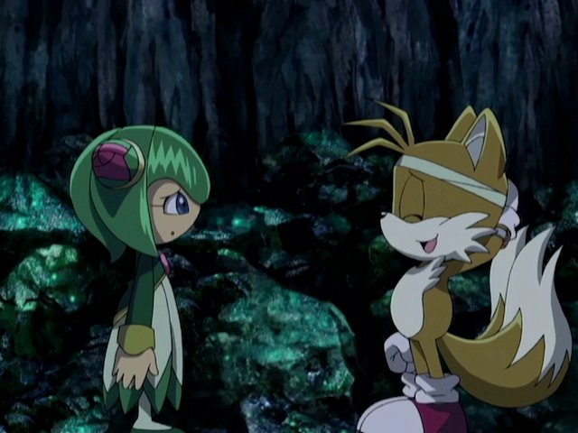 Daily Tails Pics tweet media