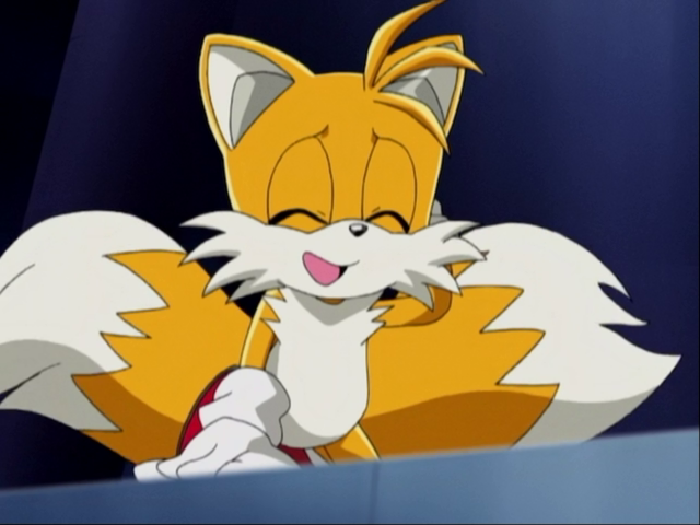 Daily Tails Pics tweet media