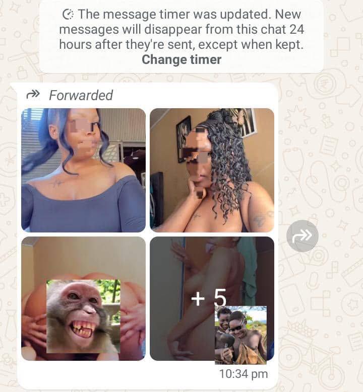 Your Gist Plug tweet media