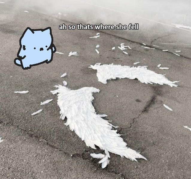 PlatosVault's tweet photo. Day 646 of posting a $NUB meme until nubillions. https://t.co/9MR9ixgV2p