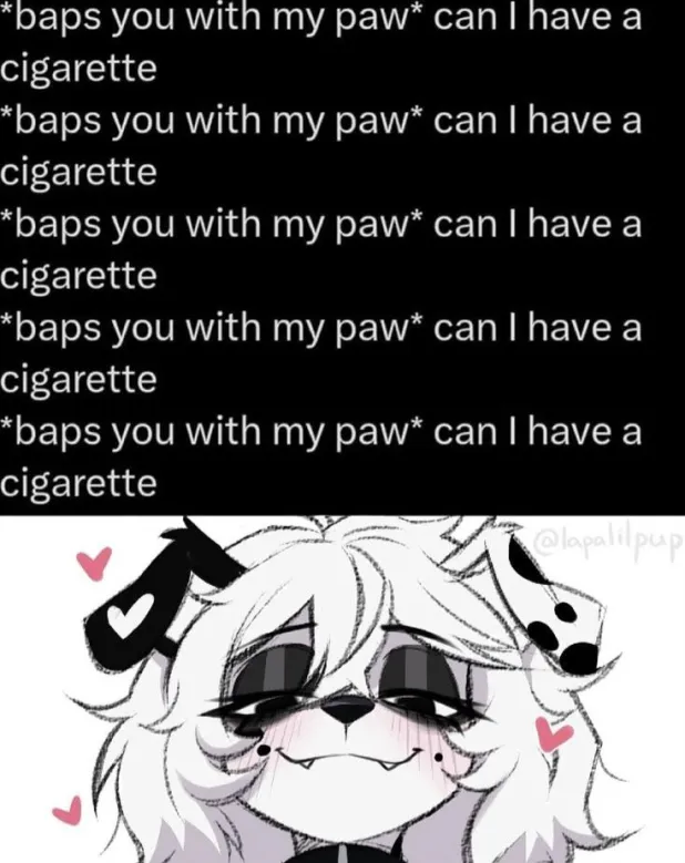PuppyPosting__'s tweet photo. https://t.co/qdm89K8gH9
