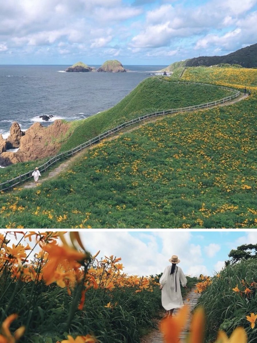 sty_830's tweet photo. 佐渡島/ 大野亀 https://t.co/29QcHFi3BA