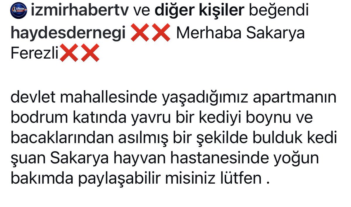 ku_ayd's tweet photo. 🆘Sakarya Ferezli ‘de bir kedi boynu va bacaklarından asılı bulundu 😤 Lanet olsun yasanıza CEZASIZLIĞINIZA 😡‼️‼️ https://t.co/ULONBJyGXn
