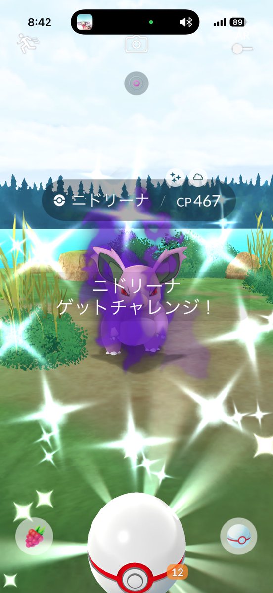 404xNotFoundxGO's tweet photo. 久々のシャドウ色違い
ジム置きすると黒幕感すごい
#ポケモンGO
#色違い https://t.co/v7RIKqiBhG