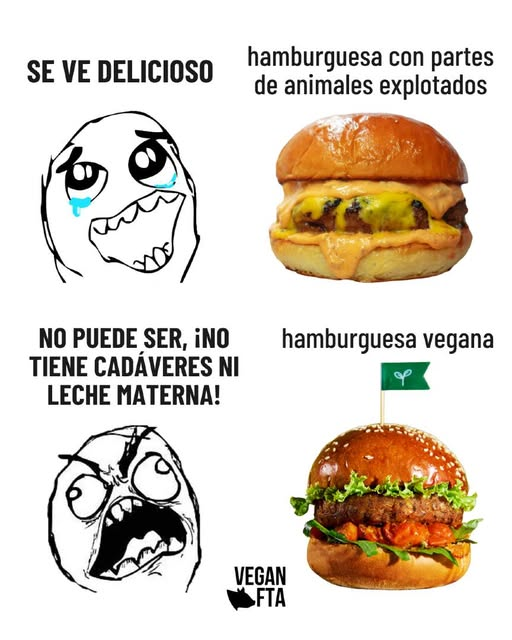 VeganFTAEspanol's tweet photo. ¡Feliz Día Mundial de la Hamburguesa! 🍔 https://t.co/H7QA9TIGt3