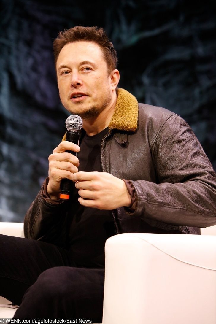 ElonScenario✨ tweet media