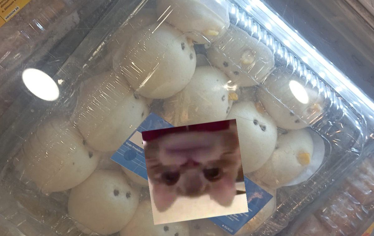 alt_lagging's tweet photo. My dumbass thought it was biyoo https://t.co/d7UuF4GDVT