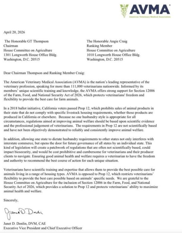 KennyTorrella's tweet photo. Truly disturbing that the American Veterinary Medical Association (@AVMAvets) is lobbying Congress to keep pigs in tiny crates.

Welfare scientist Donald Broom said it's "much worse than severely beating an animal."

Seems like a clear violation of the veterinarian's oath. https://t.co/X8xqoLMpzW