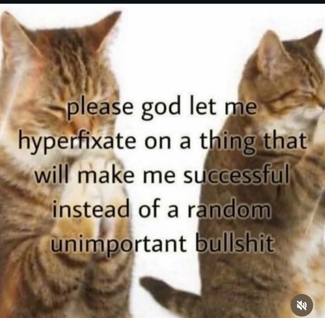 philosophy memes 🔗 tweet media