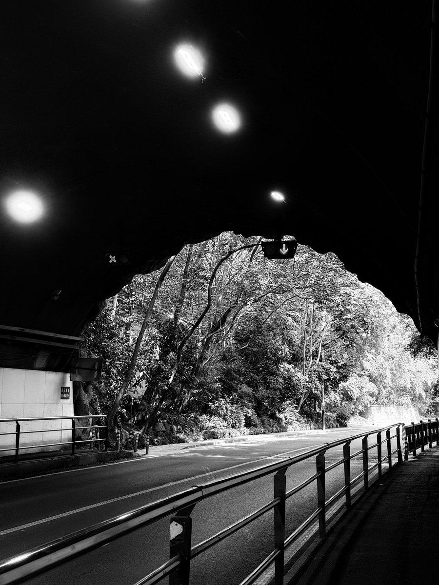 秋秋 tweet media