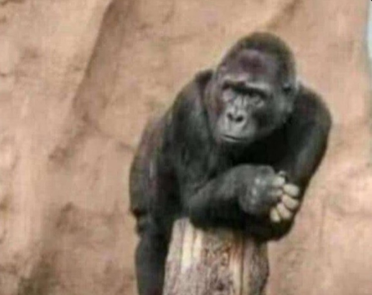 bigveefx's tweet photo. @Chibest_cy @AnthonioXela @officialEFCC For engagement!! 😳 Don’t worry until you see yourself at the other side 😂
Two years is no a big thing https://t.co/xm40HmNZmg
