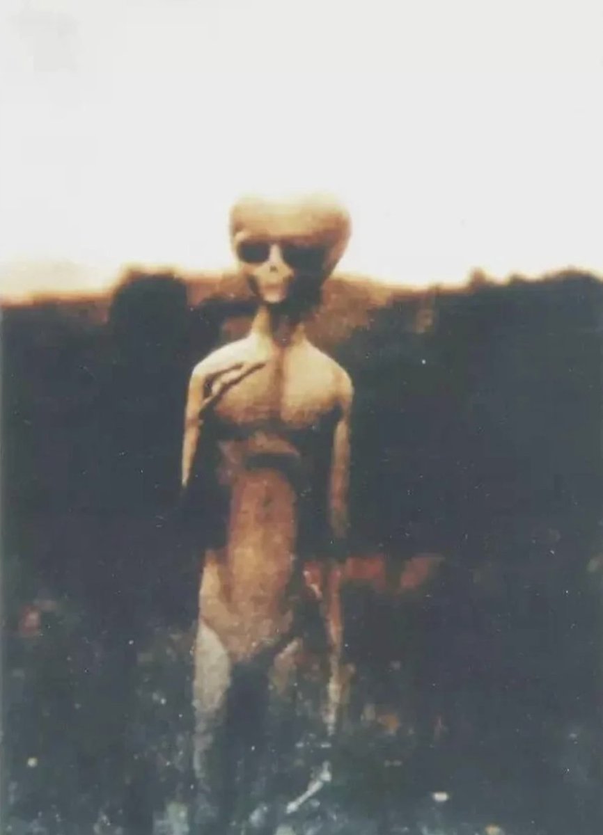 Docneuroeo's tweet photo. The 4chan alien photo incident still bothers me.

Because I remember the reaction.

People weren’t laughing.  

There was this weird collective pause then the site went down, and the image was gone.

These aren’t the original.