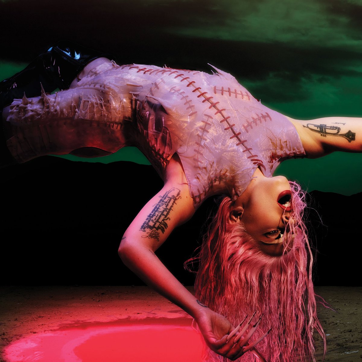 Gaga Daily tweet media